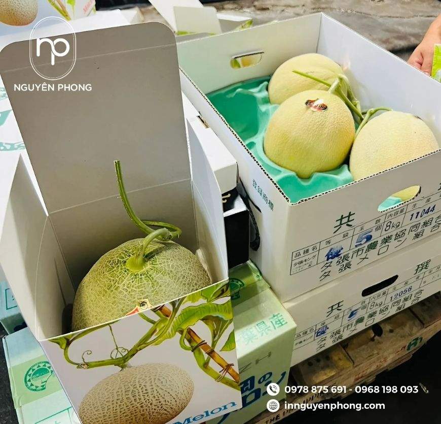 mau-hop-giay-ivory-dung-dua-luoi